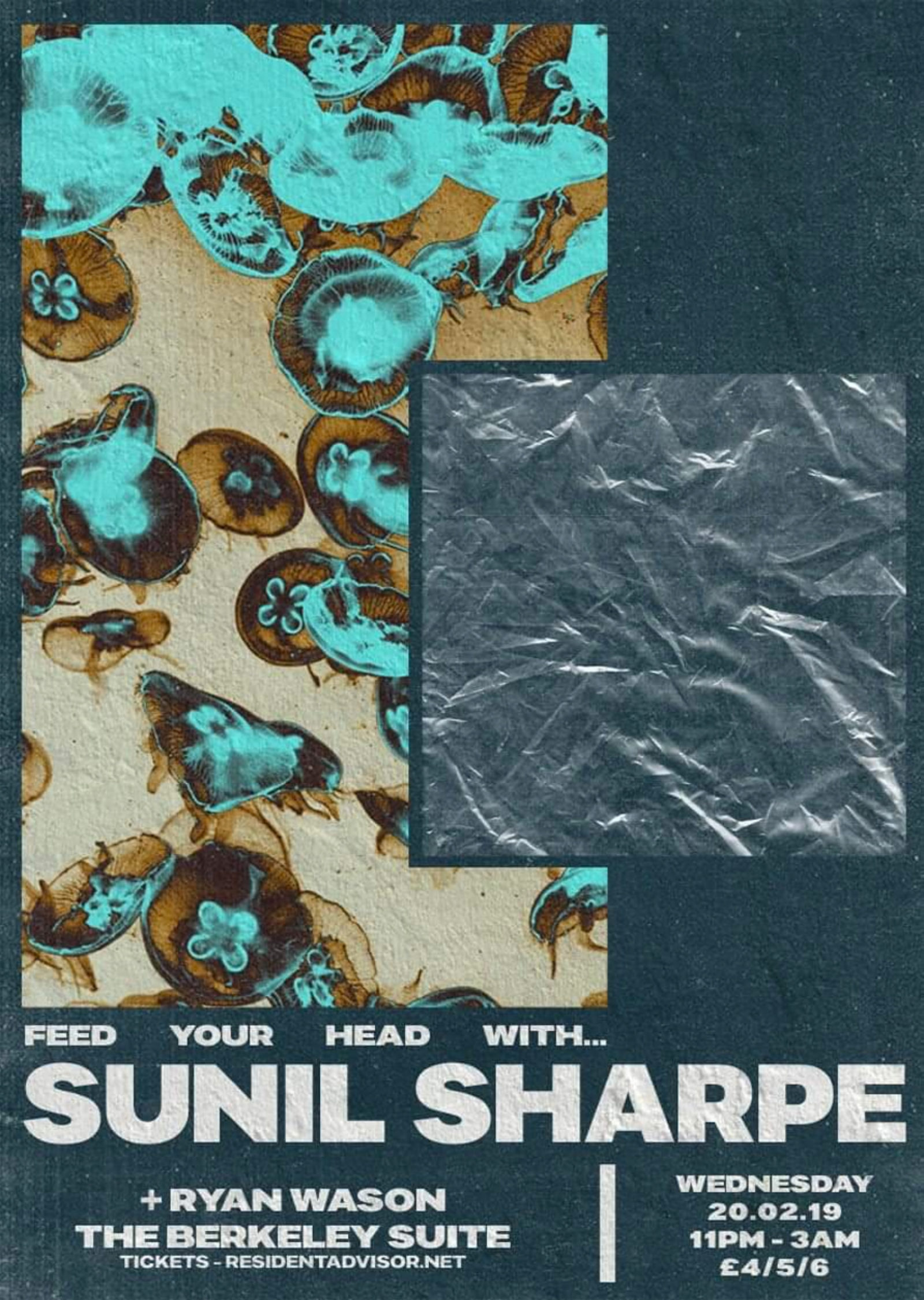 Feed Your Head w/ Sunil Sharpe